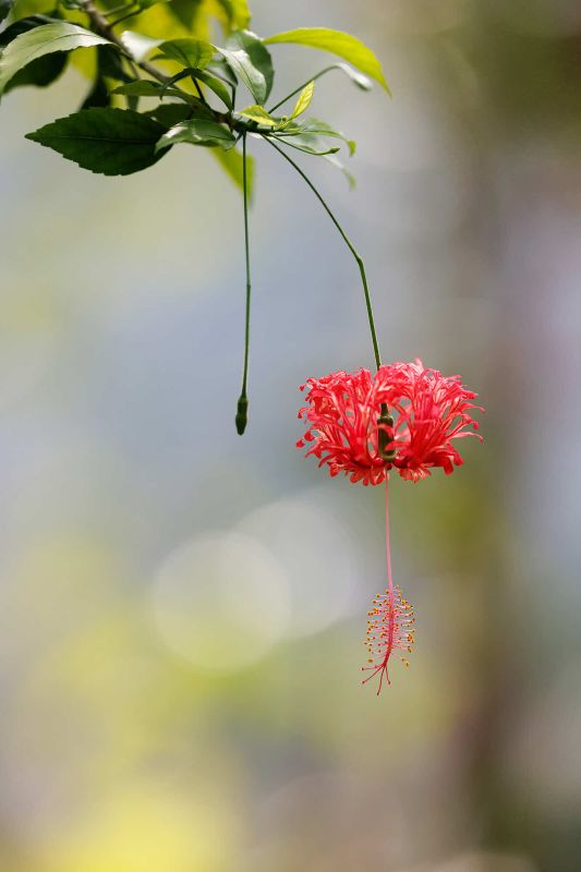 06 Rang 125 Schaufelberger Gaby